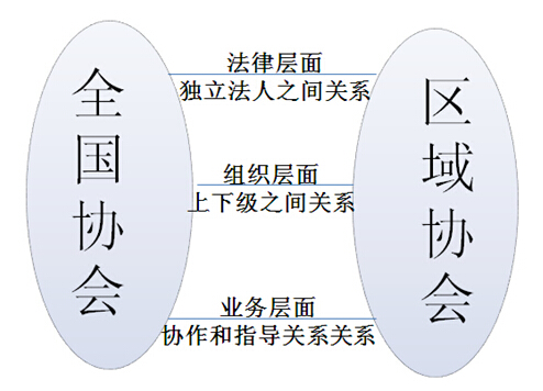 协会间关系.jpg