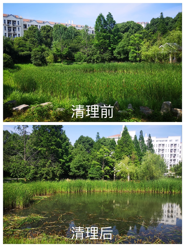 图8 清理前后对比照-潘婷.jpg