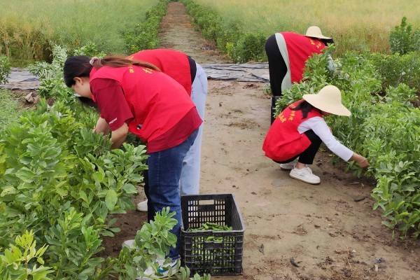 1685671581693148.jpg 1.jpg