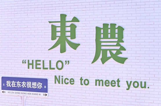 1686636980306891.png image.png