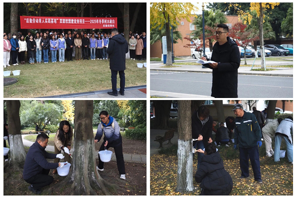 1765351016607348.jpg 光影魔术手拼图.jpg