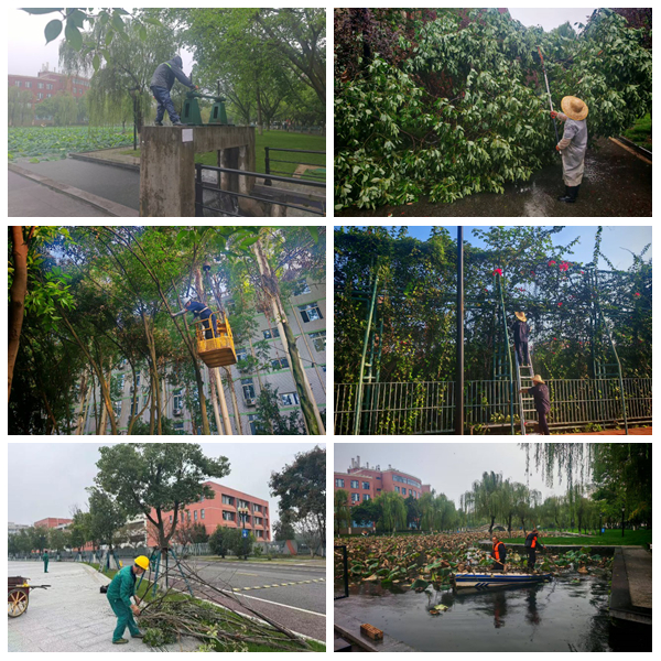 1766480625203558.jpg 光影魔术手拼图4.jpg